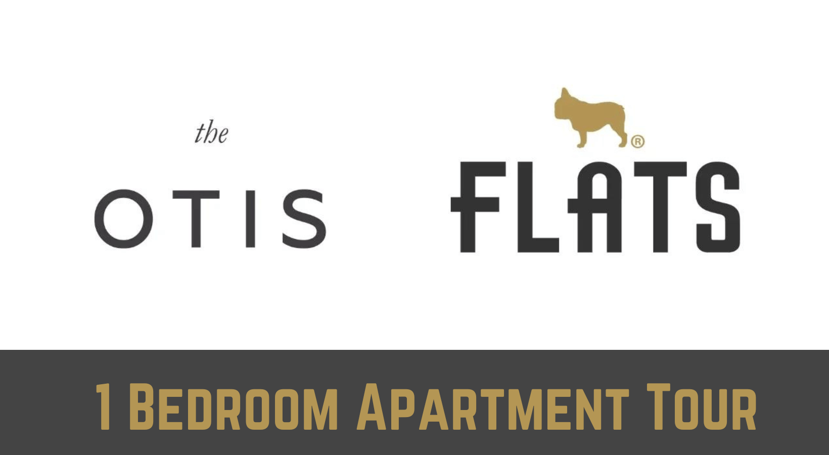 The Otis 1 Bedroom Apartment in Pilsen Chicago Walkthrough Walkthrough The Otis 1 Bedroom Apartment in Pilsen Chicago