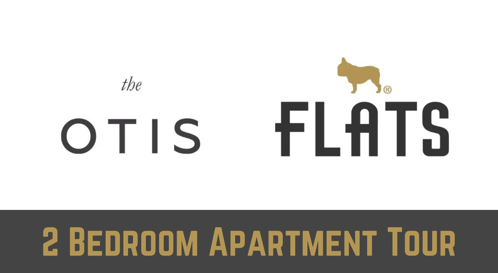 The Otis 2 Bedroom Apartment in Pilsen Chicago Walkthrough Walkthrough The Otis 2 Bedroom Apartment in Pilsen Chicago