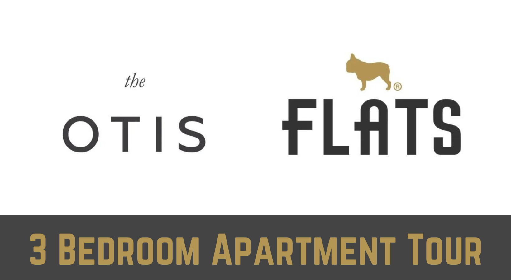 The Otis 3 Bedroom Apartment in Pilsen Chicago Walkthrough Walkthrough The Otis 3 Bedroom Apartment in Pilsen Chicago