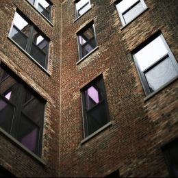 Brighten your day with natural light a building with many windows