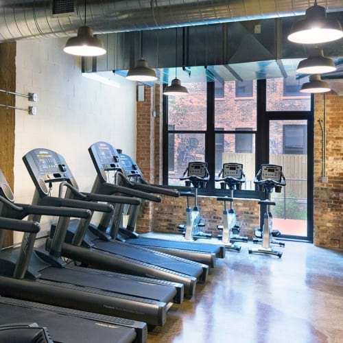 Apartments for Rent Near Pilsen in Chicago The Otis