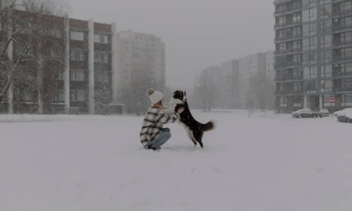 apartments with pet amenities - Apartments with pet amenities apartments with pet amenities - Apartments with pet amenities