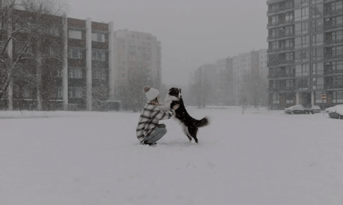 apartments with pet amenities - Apartments with pet amenities apartments with pet amenities - Apartments with pet amenities