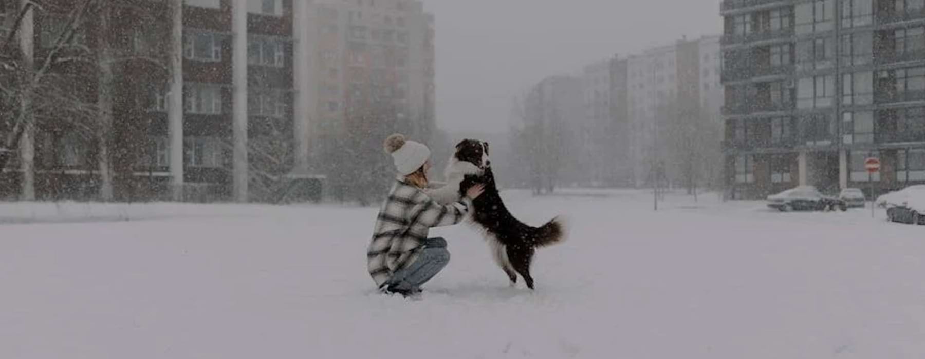 apartments with pet amenities - Apartments with pet amenities