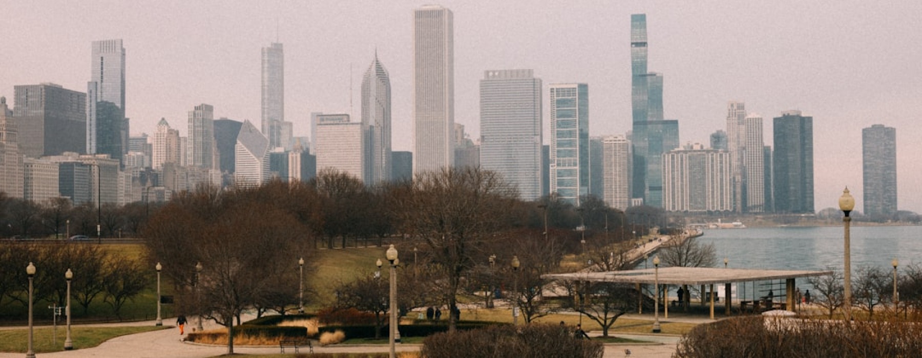 Dog with Chicago skyline - Chicago pet friendly