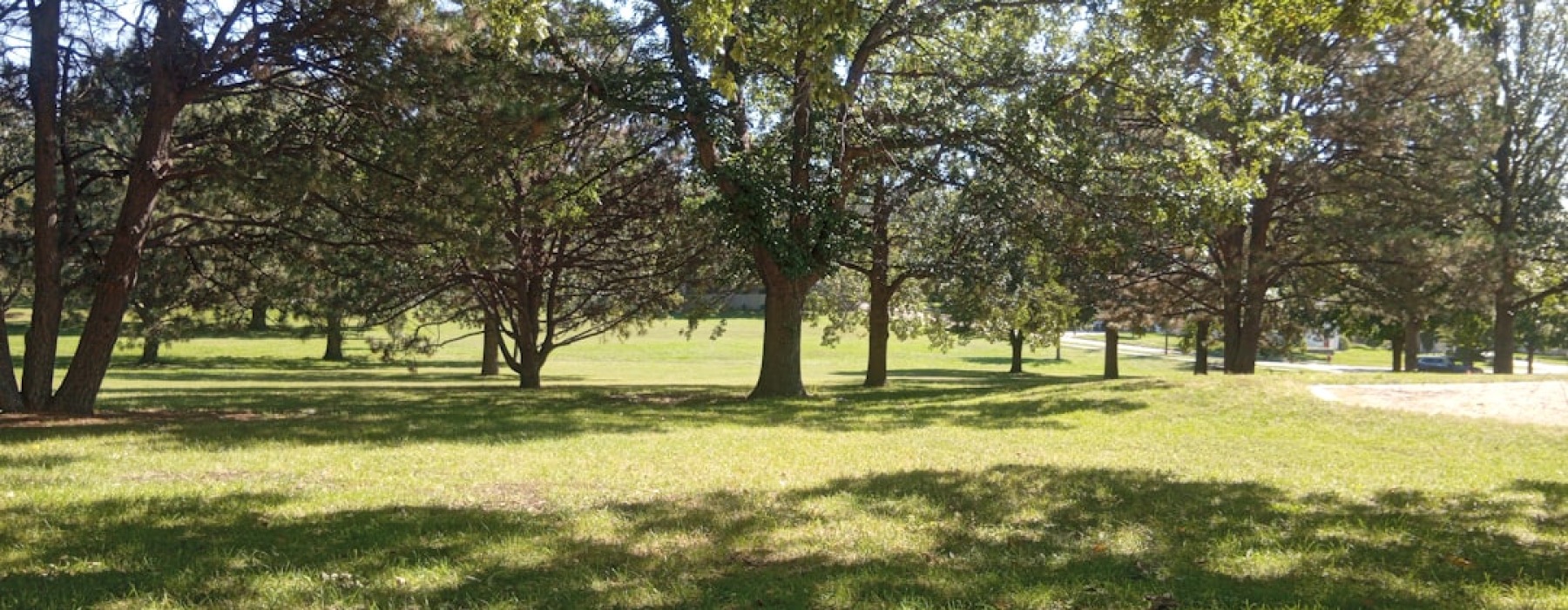 Lincoln Park tree-lined street - Lincoln Park neighborhood apartments